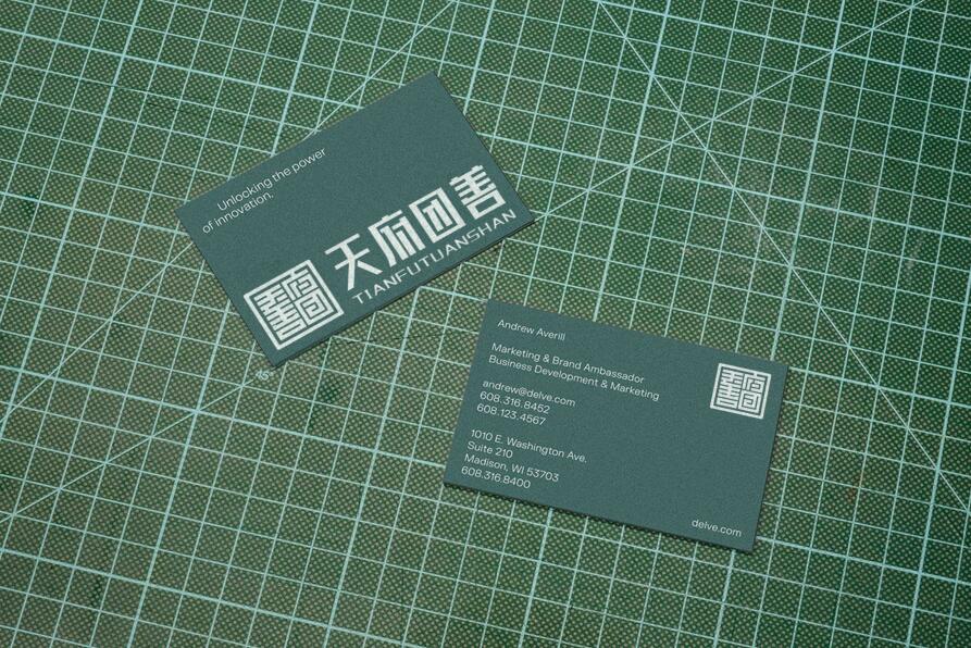 天府团善标志设计